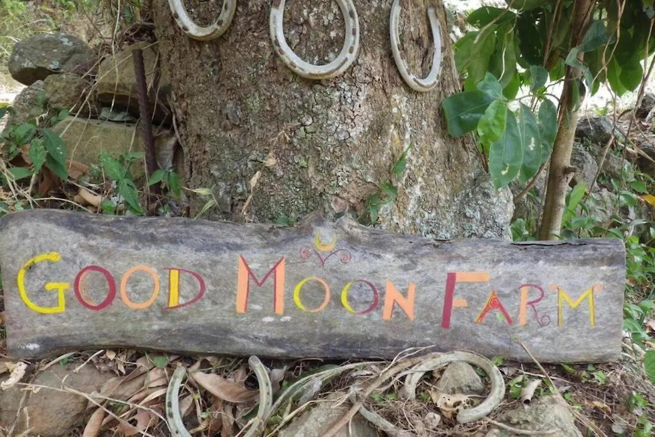Traditional West Indian Cottage On Good Moon Farm Road Town  Road Town (Tortola)